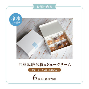 自然栽培 米粉のシュークリーム 3種 6個セット 〔Dw085〕