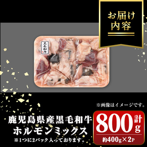 【P01001】鹿児島県産 黒毛和牛 ホルモン ミックス 計約800g 約400g×2P 牛肉 ホルモン モツ 冷凍 焼肉 もつ鍋 煮込み【新村畜産】