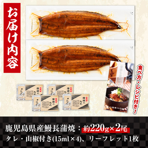 鹿児島県産 うなぎ蒲焼 特大 サイズ 2尾 （約220g×2・計約440g） 【薩摩川内鰻】 i1078-A