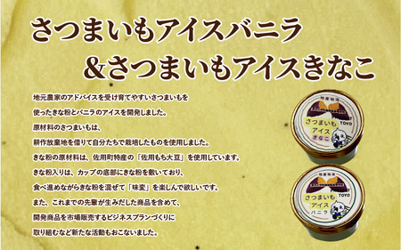 PROJECT TOYO アイスクリーム 6個 セット 東洋大学附属姫路高等学校