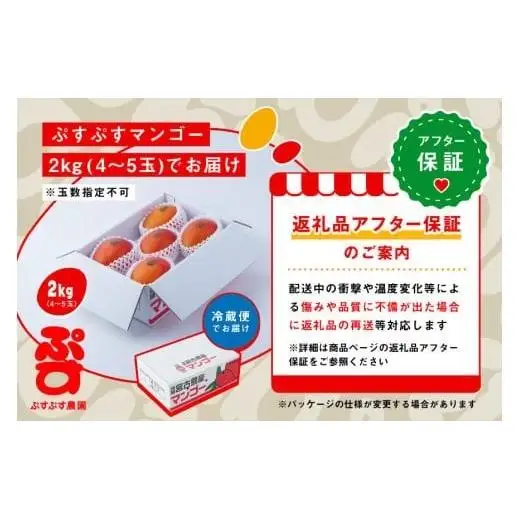 【ぷすぷす農園】＜2026年発送先行予約＞宮古島産完熟マンゴー(家庭用／2キロ／農園直送)（KY002）