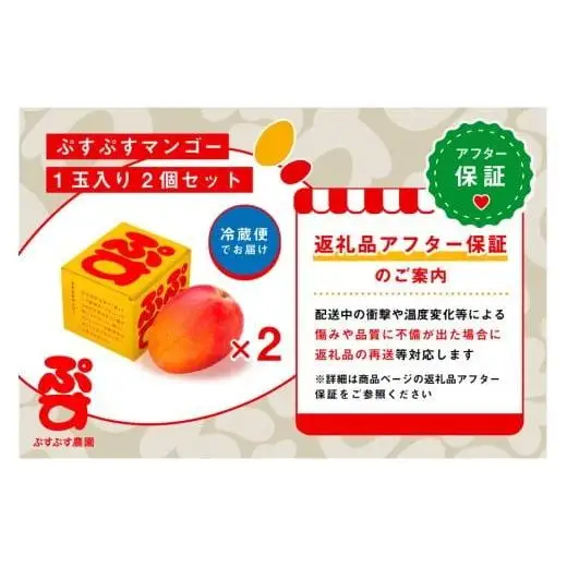 【ぷすぷす農園】＜2026年発送先行予約＞宮古島産完熟マンゴー1玉入り×2個セット（農園直送）（KY005）