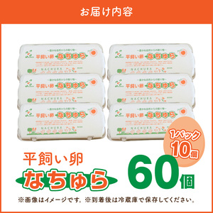 平飼い卵 なちゅら 60個 _KJF0206