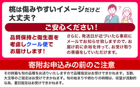 桃 紀の里の桃 約1kg(6月中旬-8月中旬頃出荷)