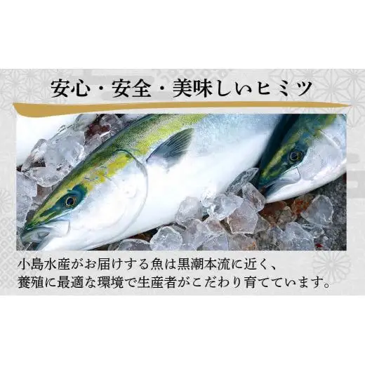 【 刺身 】 刺身定期便 4回