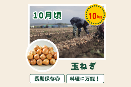 野菜セット 4回 定期便  旬な野菜 新鮮 白樺(大) 美瑛の四季【令和8年産予約受付】 