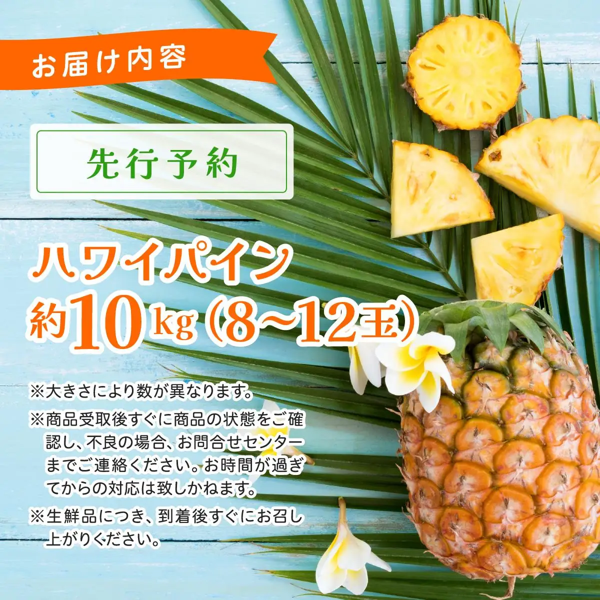ハワイパイン約10kg 