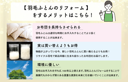 羽毛ふとんのリフォーム 打ち直し シングル ECO ダウン 羽毛 リフォーム リサイクル フェザー 高級 ふとん 布団 フトン 寝心地 品質 高級 ホテル 掛け布団 日本製 河田フェザー 羽毛布団 睡眠 洗浄 清潔