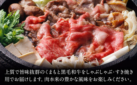 【A4～A5】くまもと 黒毛和牛 しゃぶしゃぶ すき焼き用（肩ロース肉・肩バラ肉・モモ肉）500g 《30日以内に出荷予定(土日祝除く)》熊本県 大津町 黒毛和牛 肉 お肉 和牛 A5 A4