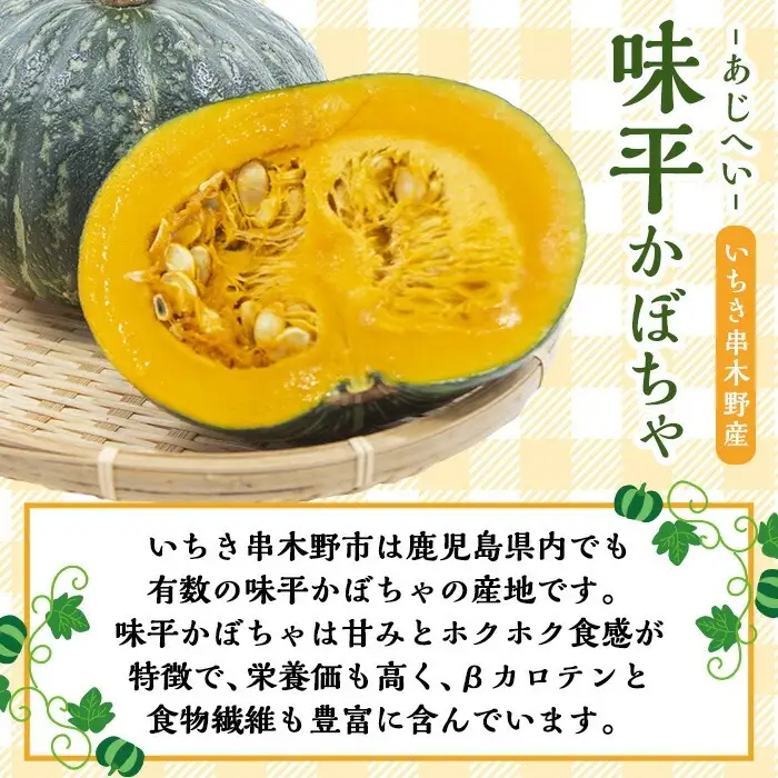 ＜訳あり＞ご自宅用！味平かぼちゃのマドレーヌ12個入り【00-014-09】