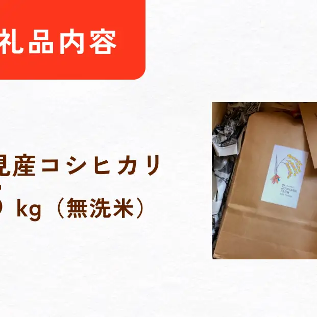 〈無洗米〉 米 令和7年産 富山県氷見産 コシヒカリ 5kg
