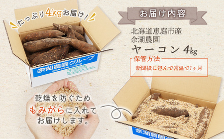 【先行予約】【北海道恵庭市産】余湖農園のヤーコン4kg【31001402】