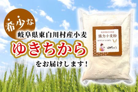 強力小麦粉 ゆきちから 500g 岐阜県 東白川村産 小麦 国産 お取り寄せ 強力粉 小麦粉