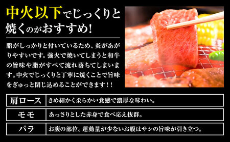 【A4～A5】くまもと 黒毛和牛 焼肉用 500g 《30日以内に出荷予定(土日祝除く)》熊本県 大津町 黒毛和牛 肉 お肉 和牛 牛 牛肉 A5 A4 小分け