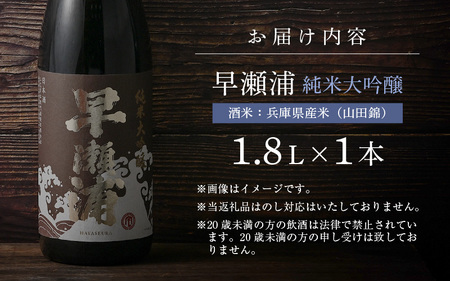 早瀬浦 限定品【数量限定】冷温熟成 早瀬浦 純米大吟醸 1800ml（熟成酒）【入手困難 日本酒 福井 おすすめ 地酒 美浜 早瀬 フルーティ 男酒 硬水 ミネラル 希少 ギフト プレゼント 贈答 山田錦 美味しい お酒 酒 さけ アルコール ご褒美 家飲み 就職祝い 転職祝い ハレの日 敬老の日 プレゼント】 [m16-i001]