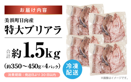 天然 ぶり 特大 ブリアラ（煮付け用）合計 約1.5kg 美浜町日向産【 アラ 】 [m36-a036]