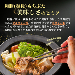 豚肉 越後もちぶた こま切れ肉 1.5kg(300g×5パック) | こま切れ肉 豚肉 新潟県 弥彦村