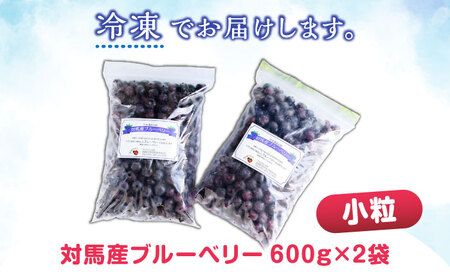 対馬産 ブルーベリー 600g×2袋 計1.2kg（ 冷凍 ）  小粒 ブルーベリー ブルーベリー ブルーベリー [WBG011]
