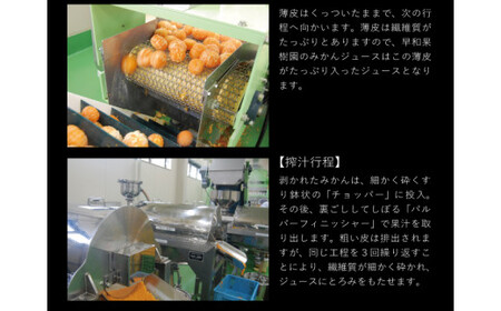 【早和果樹園】飲むみかん12本入（720ml）（B346-2）