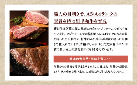 熊本黒毛和牛「藤彩牛」サーロインステーキと2種の食べ比べ|フジチク