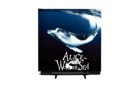 水中写真家 高橋怜子 フォトブック ALICE in WONDER SEA 写真集 海の絶景 ナショナルジオグラフィック 総合グランプリ受賞  写真 インテリア アート 写真家 Reiko Takahashi photography 高額返礼品 岩手県 北上市 （U0044）