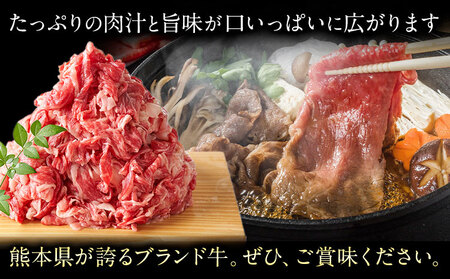 【A4～A5】くまもと 黒毛和牛 切り落とし 1.2kg 《30日以内に出荷予定(土日祝除く)》熊本県 大津町 黒毛和牛 肉 お肉 和牛 牛 牛肉 A5 A4 小分け MEAT PLUS