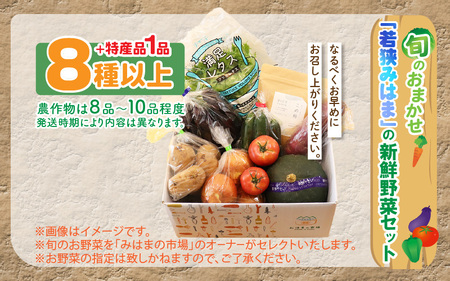 旬のおまかせ「若狭みはま」の新鮮野菜セット 8種以上＋特産品1品【ふるさと納税 春野菜 夏野菜 秋野菜 冬野菜  定期便 定期 やさい 野菜 セット 詰合せ 大容量 産地直送 旬 新鮮 採れたて おススメ 人気 】  [m80-a001]