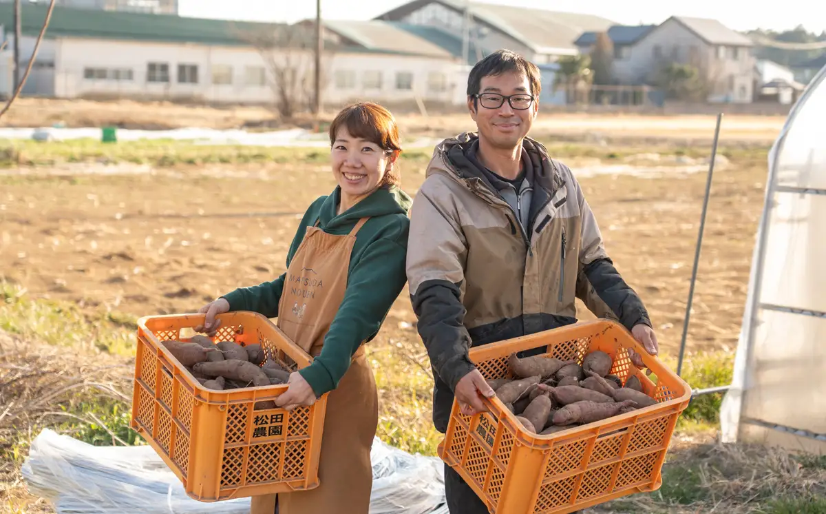 先行予約 訳あり 干し芋 2kg ほしいも