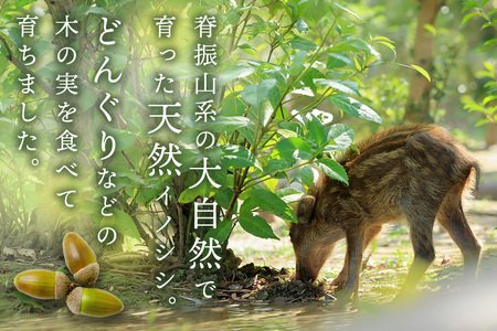 脊振ジビエ 鍋物・カレー用イノシシ肉 約1kg (H059120)