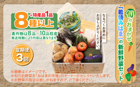 定期便 《3ヶ月連続お届け》旬のおまかせ「若狭みはま」の新鮮野菜セット 8種以上＋特産品1品【ふるさと納税 春野菜 夏野菜 秋野菜 冬野菜  定期便 定期 やさい 野菜 セット 詰合せ 大容量 産地直送 旬 新鮮 採れたて おススメ 人気 】  [m80-c001]