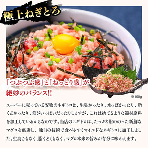 敦賀の豪華 海鮮福袋 10種 [024-e301]