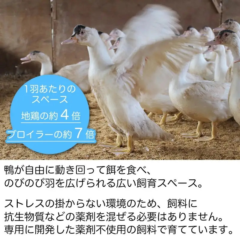 庄内鴨骨付きモモ肉　約800g（約400g×2パック）　三井農場