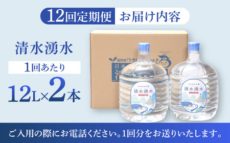 【12回お届け】赤ちゃんも安心して飲める 清水湧水 軟水 ウォーターサーバー用ボトル 12L 2本 U027-3DR-WT12-12