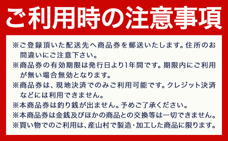 産山村観光商品券 3,000円 熊本 阿蘇 