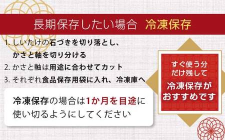 天然水仕込み生しいたけ 2種混合 約500g 農家直送 生しいたけ 椎茸 どんこ 混合 ミックス ご当地 グルメ 食品 1万円以下 F6L-934