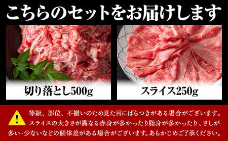 訳あり 【A4～A5】くまもと 黒毛和牛 しゃぶしゃぶ すき焼き 750g セット《30日以内に出荷予定(土日祝除く)》熊本県 大津町 黒毛和牛 肉 お肉 和牛 A5 A4 小分け MEAT PLUS