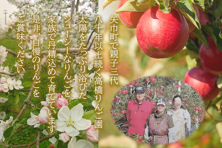 高橋りんご園　『サンふじ』5kg(12～14玉)　フルーツキャップ付き　贈答用にもオススメ！/さんふじ サンフジ サンふじ 送料無料 矢巾町産 りんご 予約 蜜 しゃきしゃき シャキシャキ 甘い 酸味 贈答 ギフト プレゼント リンゴ 林檎 果物 くだもの フルーツ 岩手県 矢巾町