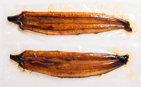 高知県産養殖うなぎ蒲焼 10尾(合計1000g以上) - 鰻 ウナギ 国産 蒲焼き かば焼き かばやき うな丼 うな重 ギフト お中元 御中元 父の日 お礼 御礼 感謝 贈答 贈り物 土用の丑の日 高知県 香南市 ss-0041