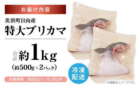 天然 ぶり 特大 ブリカマ (塩焼き用) 約1kg (約500g × 2パック) 美浜町日向産【 ブリカマ 】[m36-a035]