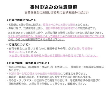 国産スパニッシュモス　太葉　100ｇ