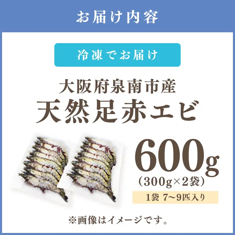 大阪府泉南市産 天然足赤エビ 600g【058D-007】