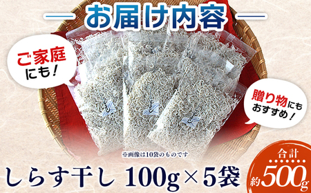 ＜漁師さん自慢のしらす干し 500g(100g×5パック)＞ シラス 魚介類 さかな 海産物 海鮮 海の幸 小分け 国産 ご飯のお供 丼 おつまみ 晩酌 おかず おやつ 特産品 産地直送 濱田水産 愛媛県 西予市 【冷凍】『最短10営業日以内に順次発送予定』AHS0009