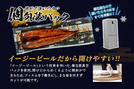 ＜父の日までにお届け＞国産うなぎ蒲焼 特大 4尾 計760g以上【C388-760-FD】