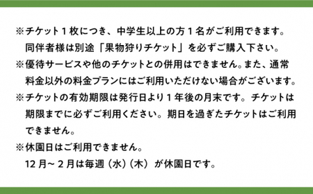 チケット 果物狩り 体験 2名様分 [APAA001] チケット