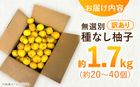 【訳あり】【2026年先行予約】種なし柚子1.7kg ＜2026年11月中旬より順次発送＞[APAQ003] ゆず