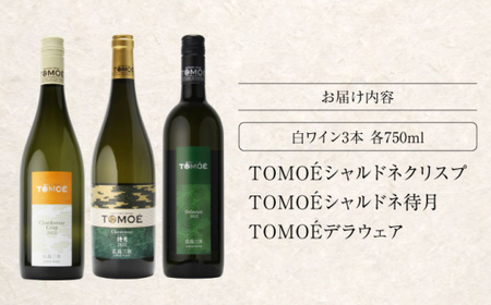 【スピード発送】冷して飲みたい白ワイン3本セット[APAZ032] ワイン