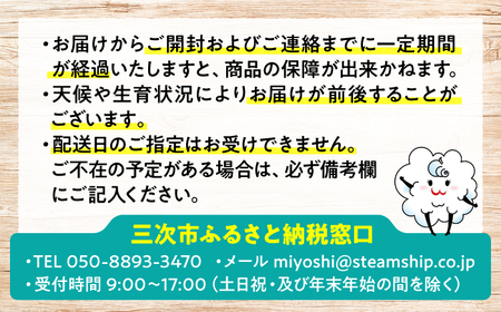 【全3回定期便】厳選！農夫の野菜詰め合わせセット[APBA015] 野菜