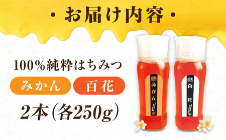 はちみつ チューブ2本セット（百花・みかん）各250g [APBO009] はちみつ