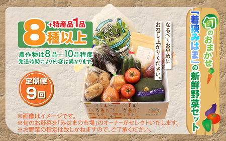 定期便 《9ヶ月連続お届け》旬のおまかせ 「若狭みはま」の新鮮野菜セット 8種以上＋特産品1品【ふるさと納税 春野菜 夏野菜 秋野菜 冬野菜 定期便 定期 やさい 野菜 セット 詰合せ 大容量 産地直送 旬 新鮮 採れたて おススメ 人気 】  [m80-j001]