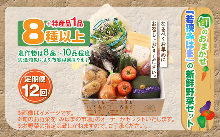 定期便 《12ヶ月連続お届け》旬のおまかせ 「若狭みはま」の新鮮野菜セット 8種以上＋特産品1品【ふるさと納税 春野菜 夏野菜 秋野菜 冬野菜 定期便 定期 やさい 野菜 セット 詰合せ 大容量 産地直送 旬 新鮮 採れたて おススメ 人気 】  [m80-l001]
